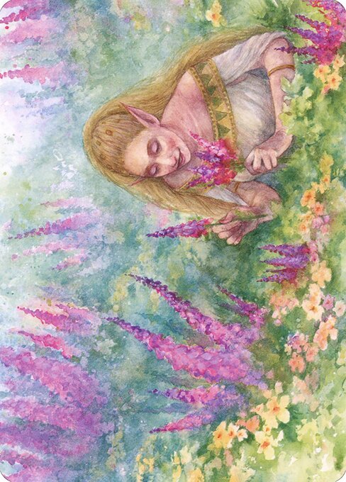 Abundant Harvest Art Card