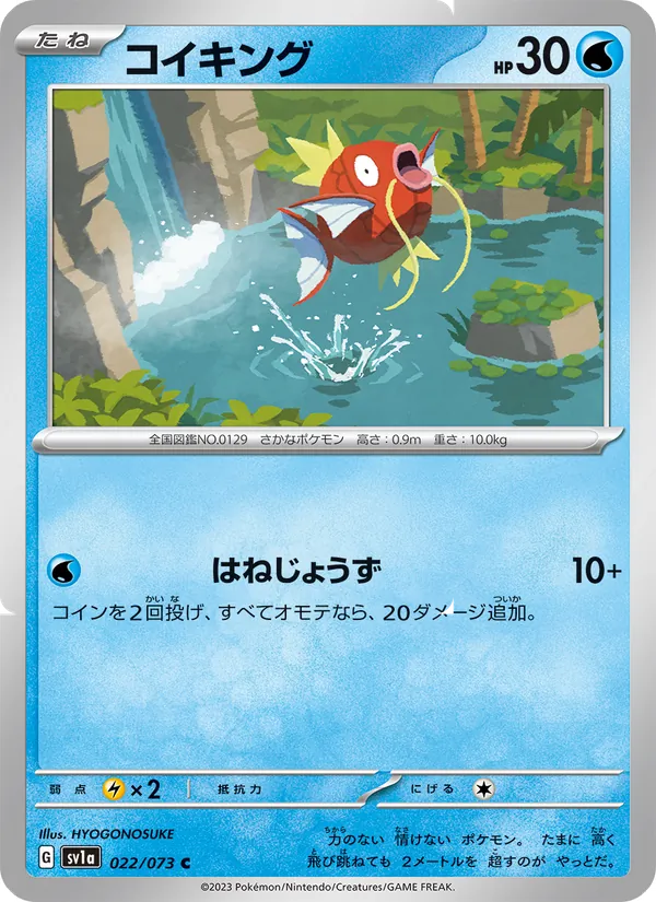 コイキング