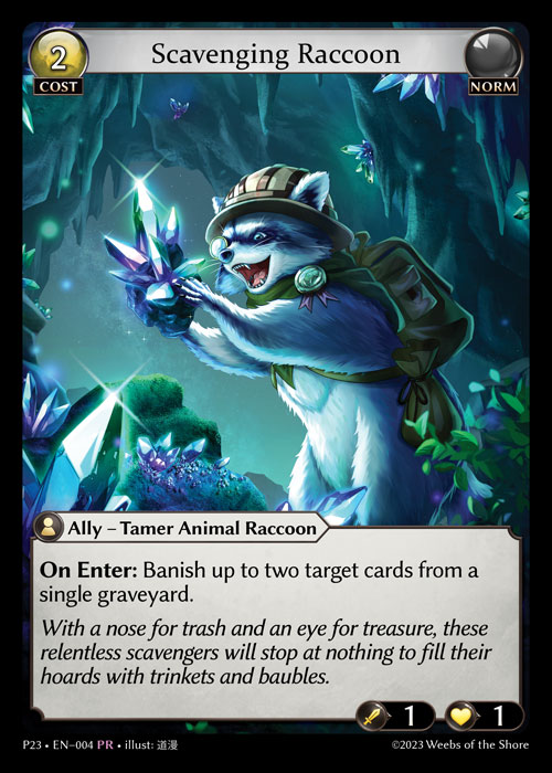 Scavenging Raccoon