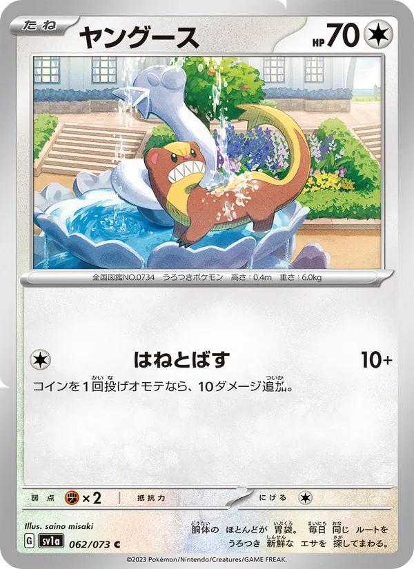 ヤングース