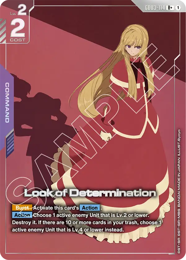 Look of Determination