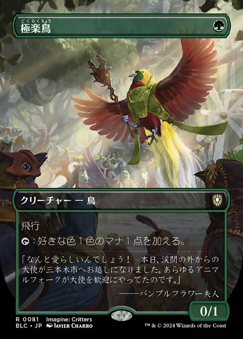 Birds of Paradise