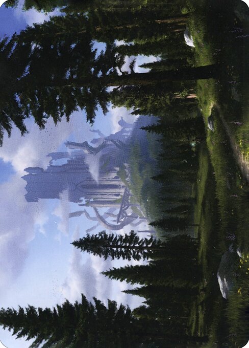 Forest Art Card