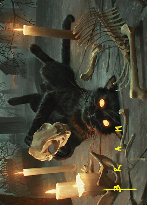 Nine-Lives Familiar Art Card