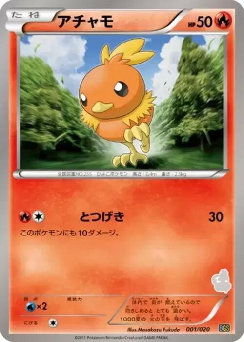 Torchic