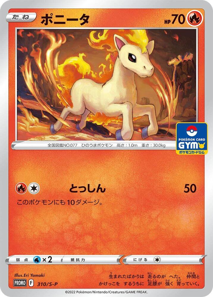 Ponyta