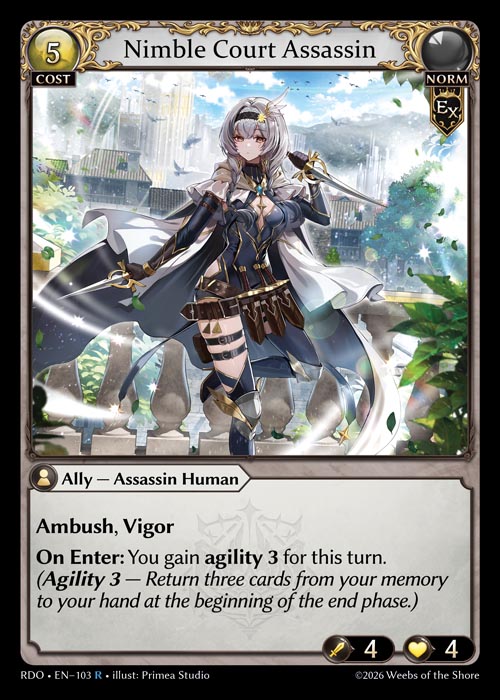 Nimble Court Assassin